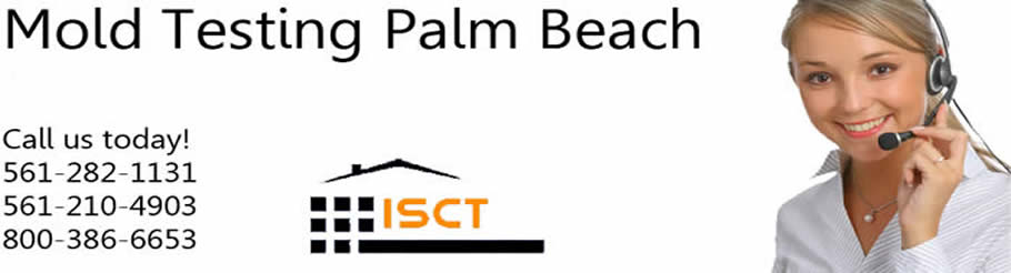 Mold Testing and Mold Inspection Palm Beach